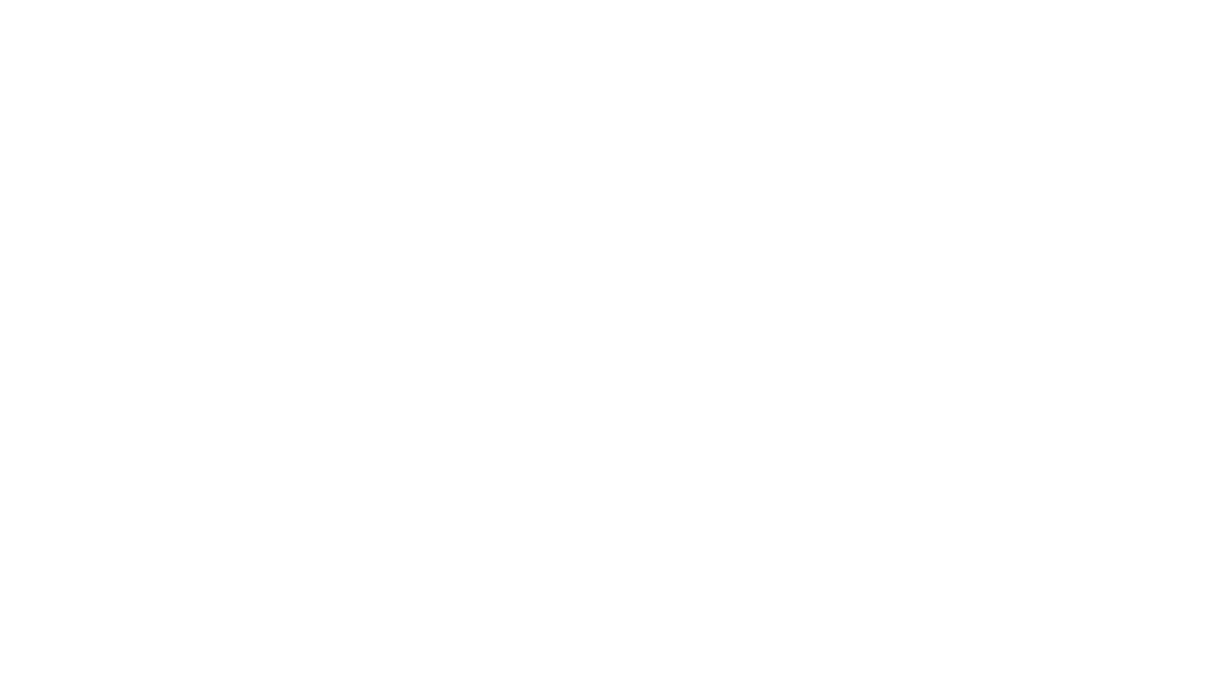 AUTOBUSES DEL VALLE DE MEXICO